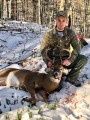 2019: TJ Karbowski got this fine 7-pointer Nov. 16  Saratoga County.