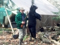 2013: Dan Reed of Oswego, black bear, Colton, NY