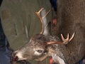 2019: Scott Weightman with a buck aken at the Black Horse sporting Club in Peru, Clinton County.