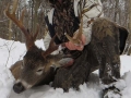 2019: Wayne Kwasniewski took this Tug Hill 12-pointer on Dec. 2 in Osceola, Lewis County.