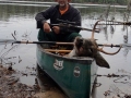 2020: Bill LaPann, of Argyle, with a buck taken near Sarana Lake.