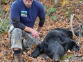 2022: Pete Rickert shot this black bear, a mature boar, during the opening weekend of the Northern Zone Muzzeloading season.