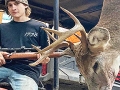 2022: Elijah Jones; shot this 8-pointer in Ohio; Herkimer County; Nov. 7. It is his second buck!