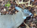 2022: Steve Gorton, of Kingsbury, shot this Essex County 10-pointer Nov. 7.
