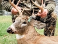 2024: John Zeis shot this 180-pound,10-point buck out of Camp Long Beard in Stratford, Fulton County, Nov. 11.