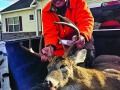 2025: Jeffrey Nitsche shot this 80pointer in Stony Creek Warren County Nov. 22 out of the Yellow Gate Cleveland Camp.