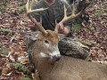 2021: Joe Van Valkenburg, of Old Forge, shot this 148-pound, 8-pionter in Herkimer County on Nov. 21.