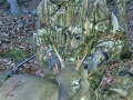 2021: Doug Coonz shot this buck in Hogtown on Nov. 4 at the Windy Ridge Club in Hogtown.