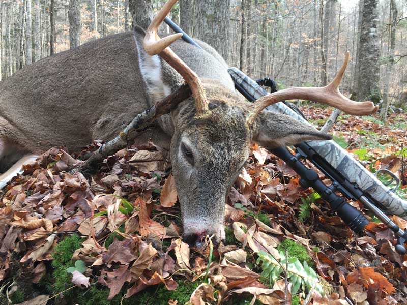 Chris Schroer of the West River Hunt Club tracked down this 140-pound, 4-pointer on Nov. 10 in Hamilton County.
